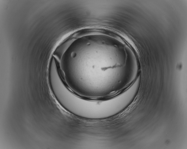 X0000095511485200712141412