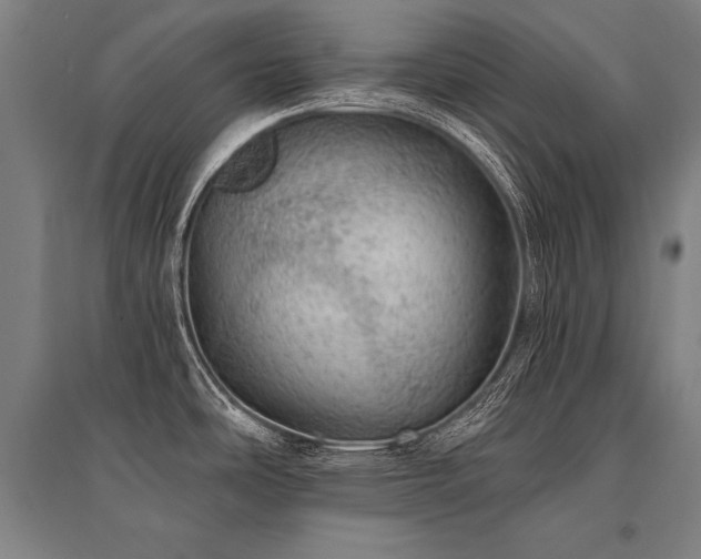 X0000095511486200712141412