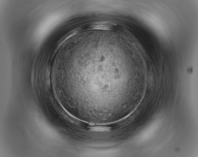 X0000095511487200712141412