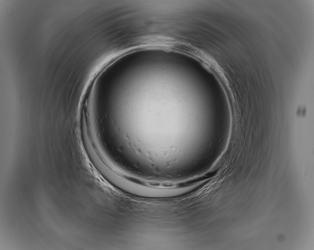X0000095511488200712141412