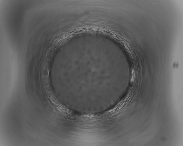 X0000095511489200712141411