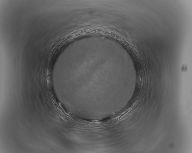 X0000095511490200712141411