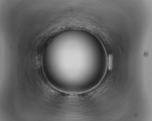 X0000095511491200712141411