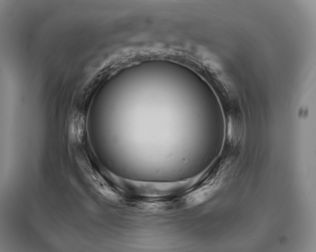 X0000095511492200712141411