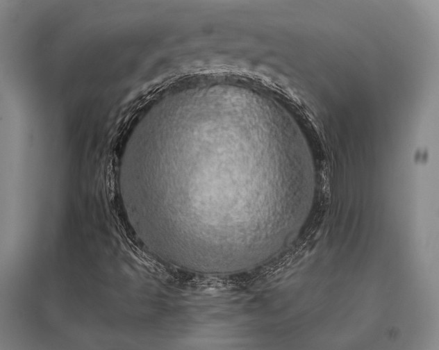X0000095511493200712141411