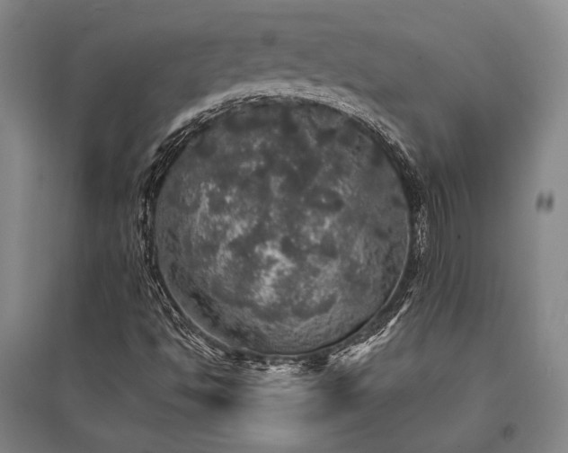 X0000095511494200712141411