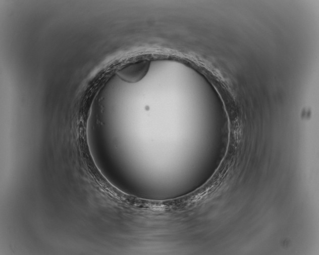 X0000095511495200712141412