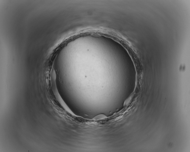 X0000095511496200712141412