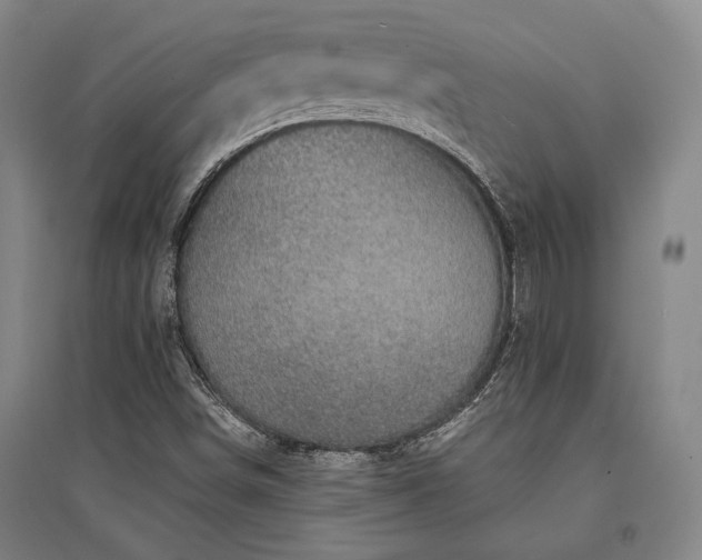 X0000095511498200712141412