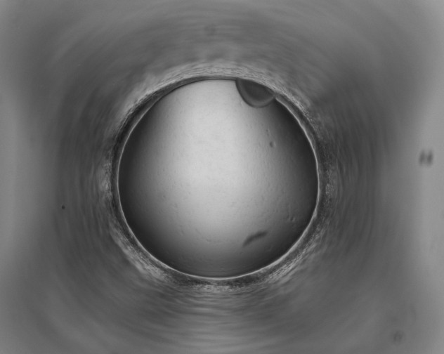 X0000095511499200712141412