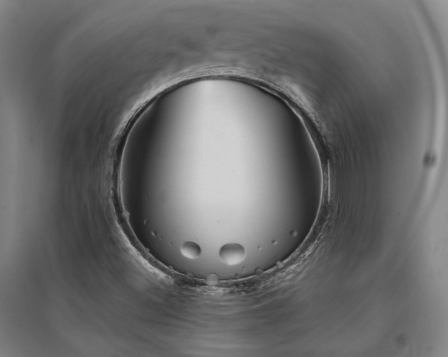 X0000095511500200712141412