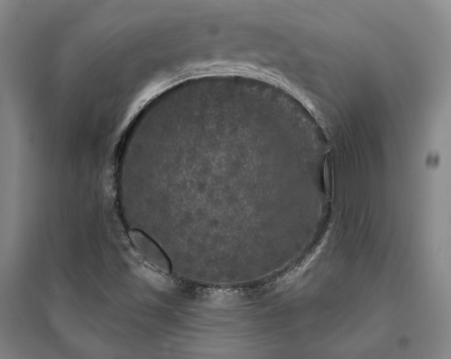 X0000095511501200712141412