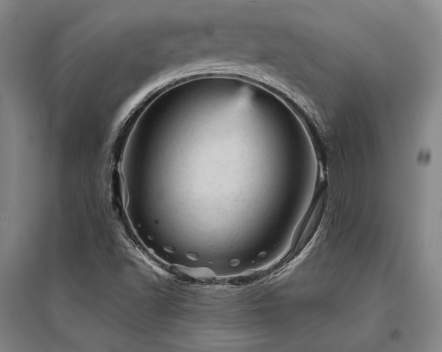 X0000095511502200712141412