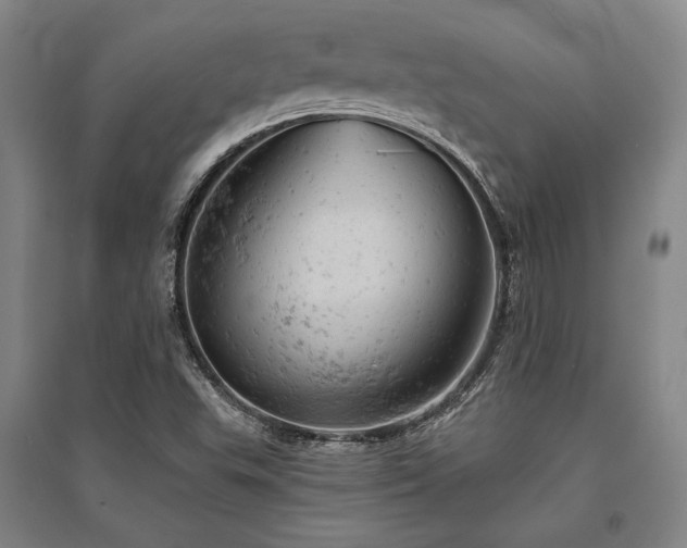 X0000095511503200712141412