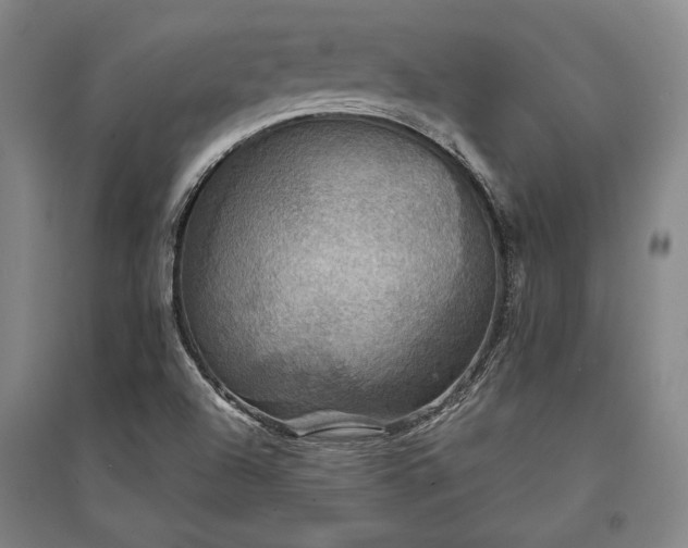 X0000095511504200712141412