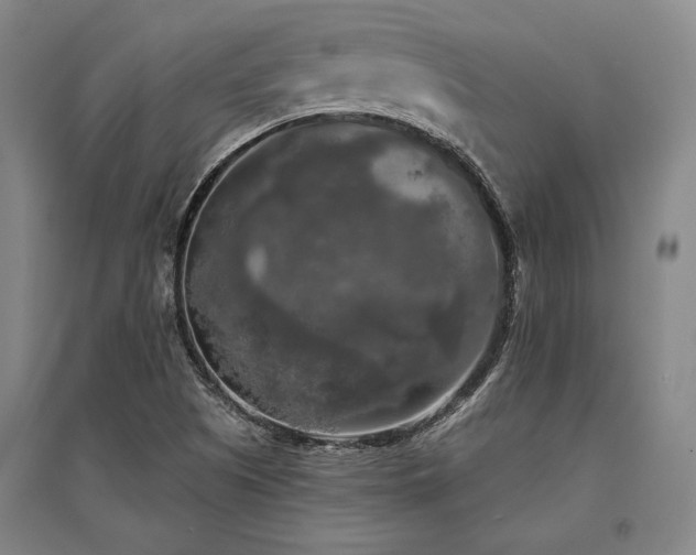 X0000095511505200712141412