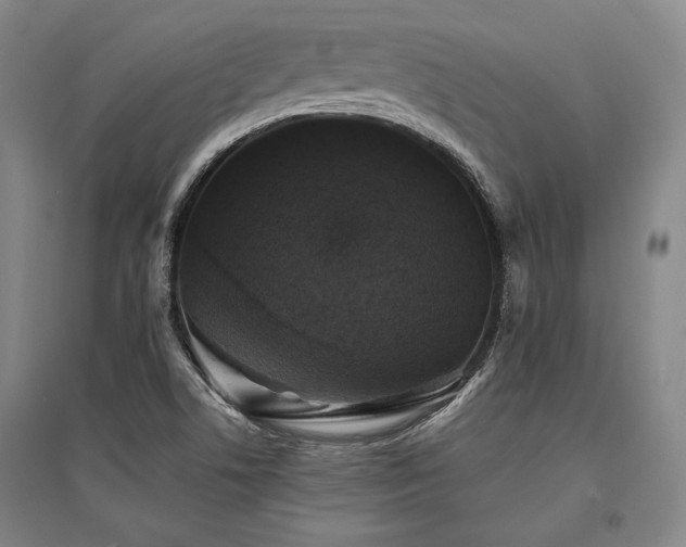 X0000095511506200712141412
