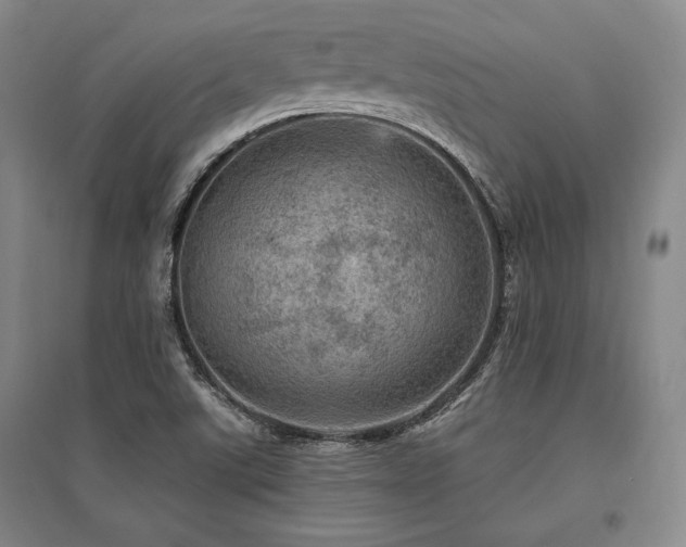 X0000095511507200712141412