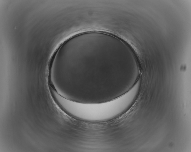 X0000095511508200712141412
