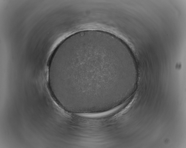 X0000095511509200712141412