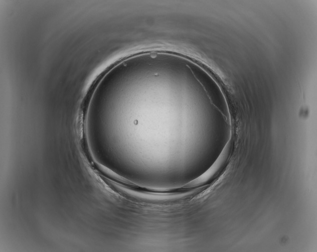 X0000095511510200712141412