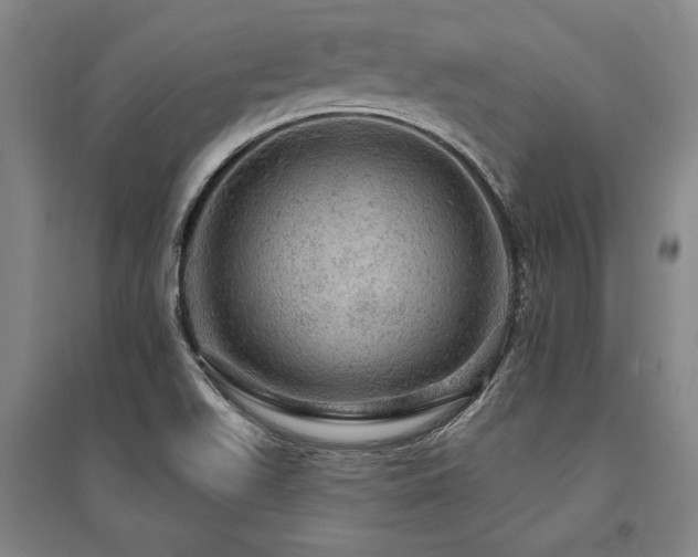 X0000095511511200712141412