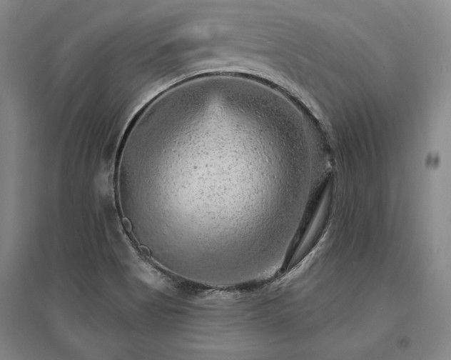 X0000095511513200712141412
