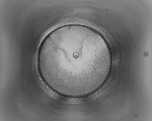 X0000095511514200712141412