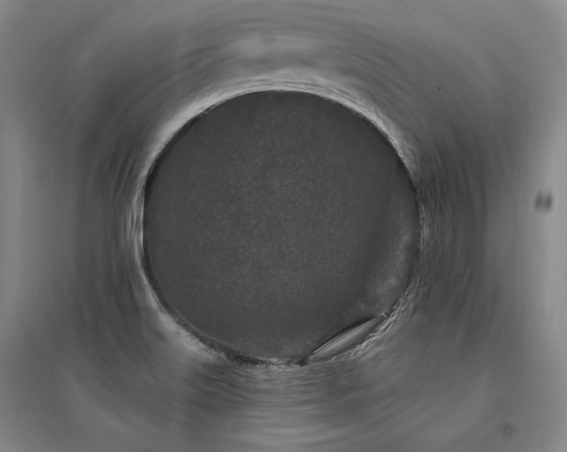 X0000095511515200712141412