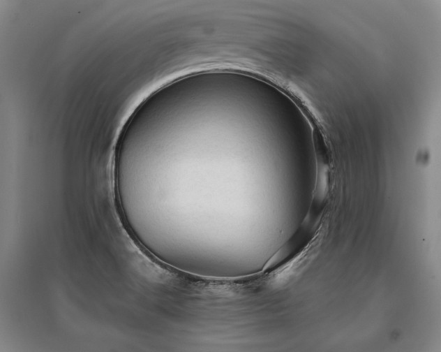X0000095511516200712141412