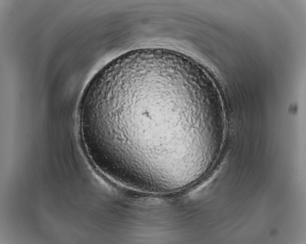 X0000095511517200712141412