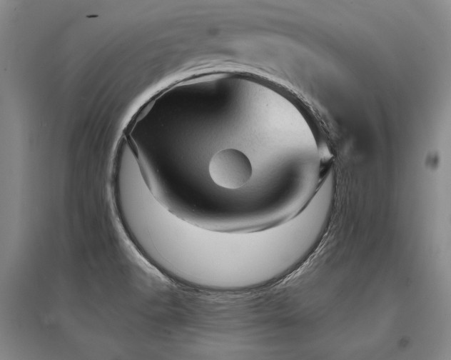 X0000095511518200712141412
