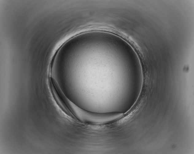 X0000095511520200712141412