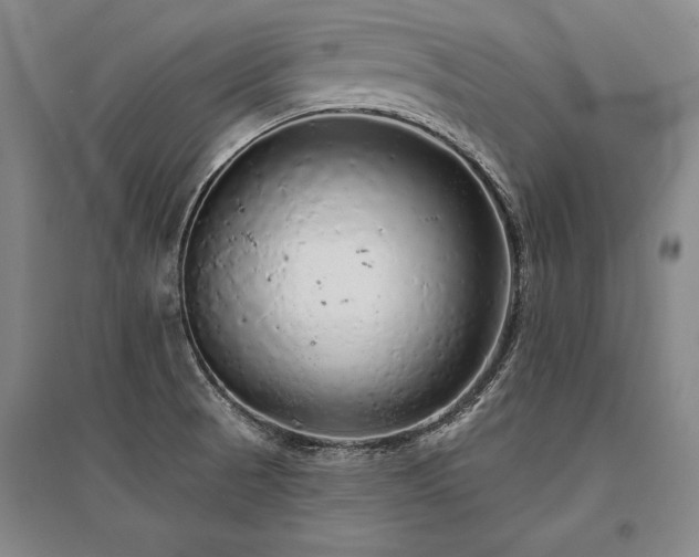 X0000095511521200712141412