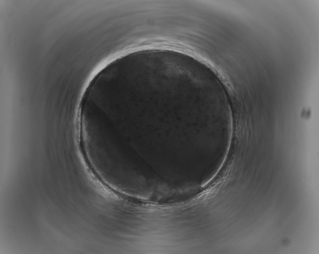 X0000095511522200712141412