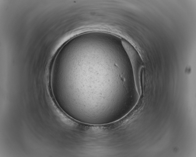 X0000095511523200712141412
