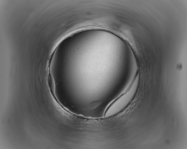 X0000095511524200712141412