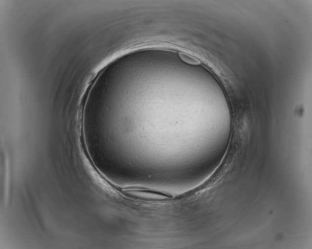 X0000095511526200712141412