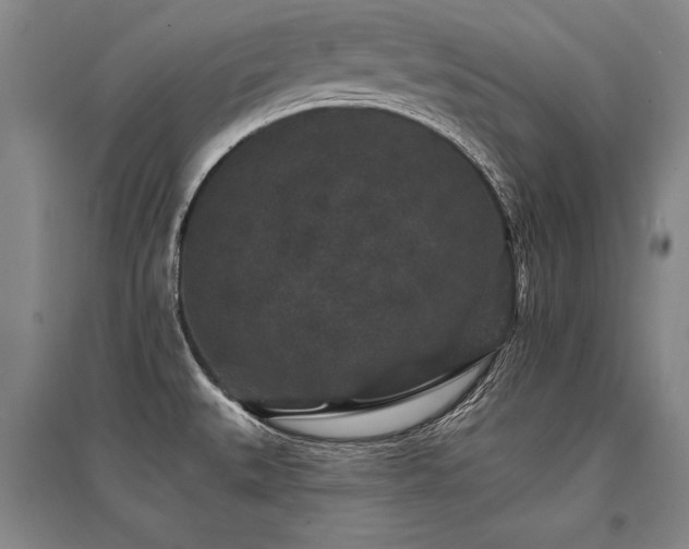X0000095511527200712141412