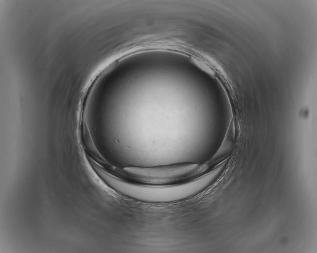 X0000095511528200712141412