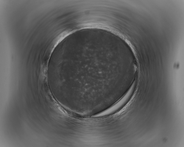 X0000095511529200712141412