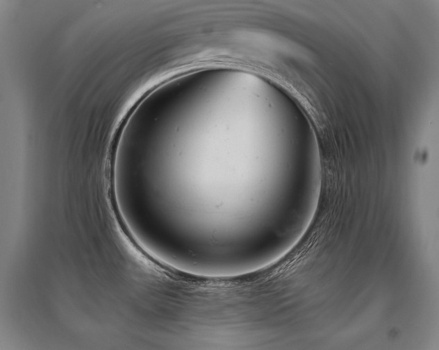 X0000095511531200712141412