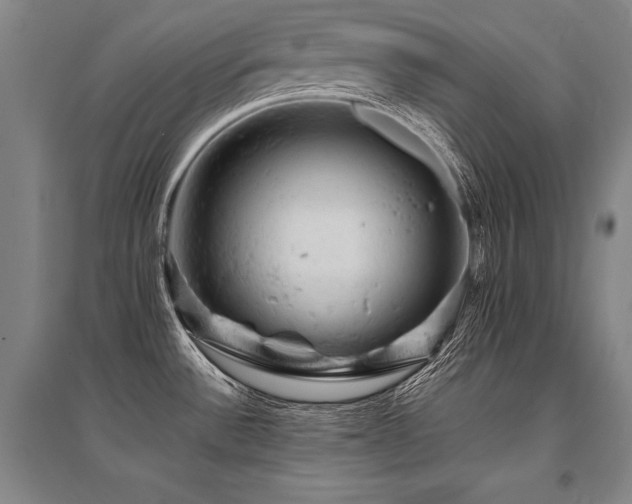 X0000095511532200712141412