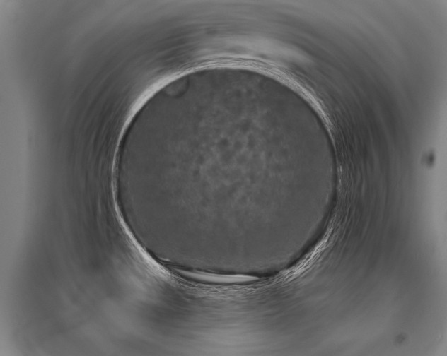 X0000095511533200712141412