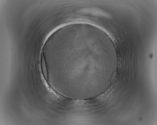 X0000095511534200712141412
