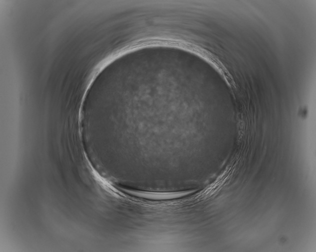 X0000095511535200712141412
