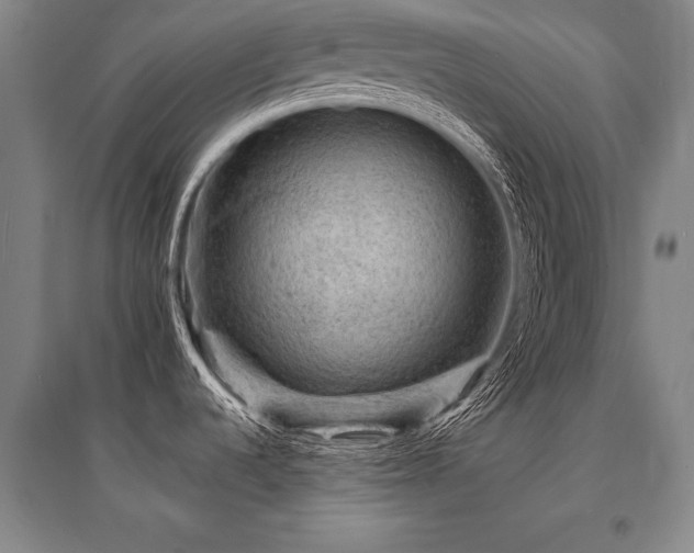 X0000095511536200712141412