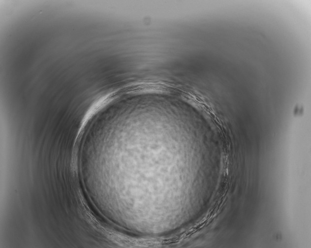 X0000095510004200712211250