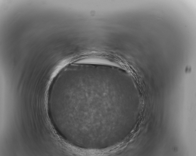X0000095510006200712211250