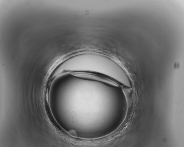 X0000095510007200712211250